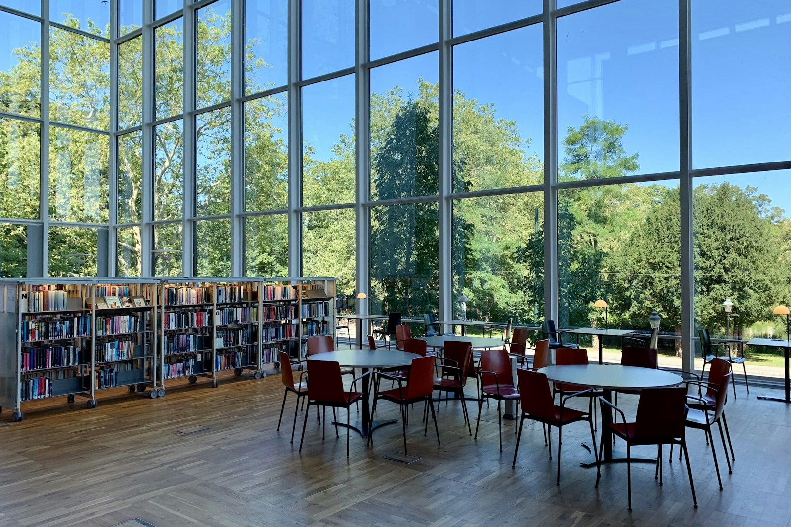 A bright library with tall windows, bookshelves and study tables